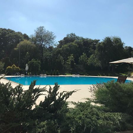 Nordului Herastrau Luxury Apartment 布加勒斯特 外观 照片
