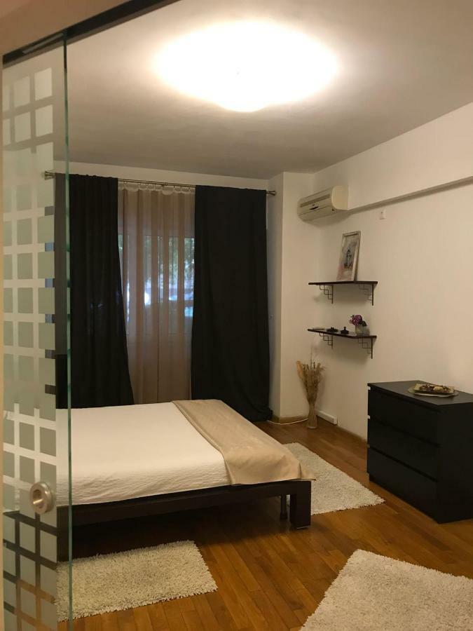 Nordului Herastrau Luxury Apartment 布加勒斯特 外观 照片