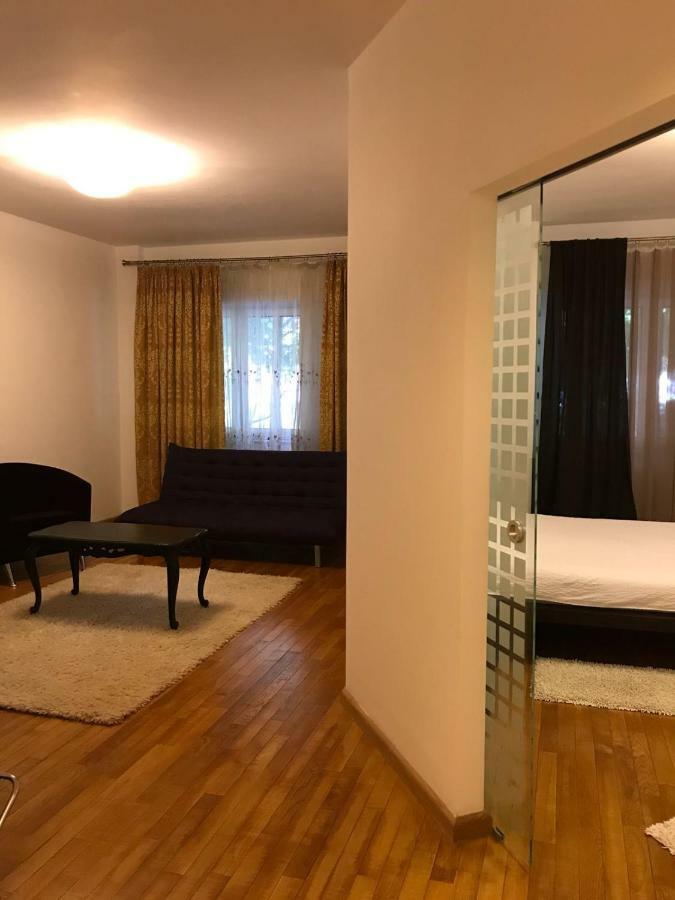 Nordului Herastrau Luxury Apartment 布加勒斯特 外观 照片